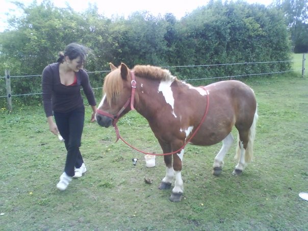 mon Pollux le poney de ma vie 