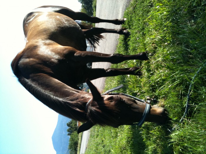 mon douh et son ventre de poney :)