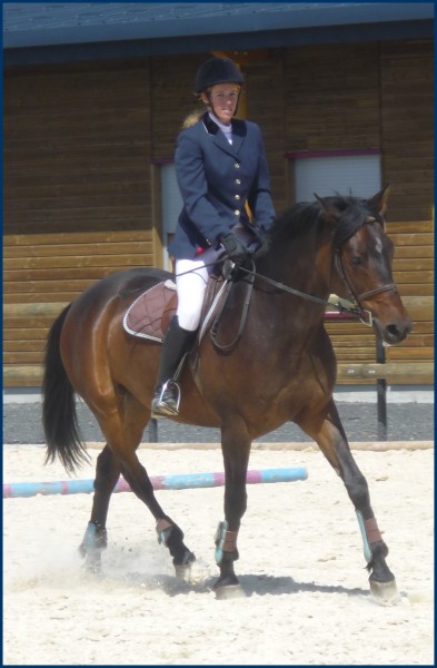 BEPA 2009