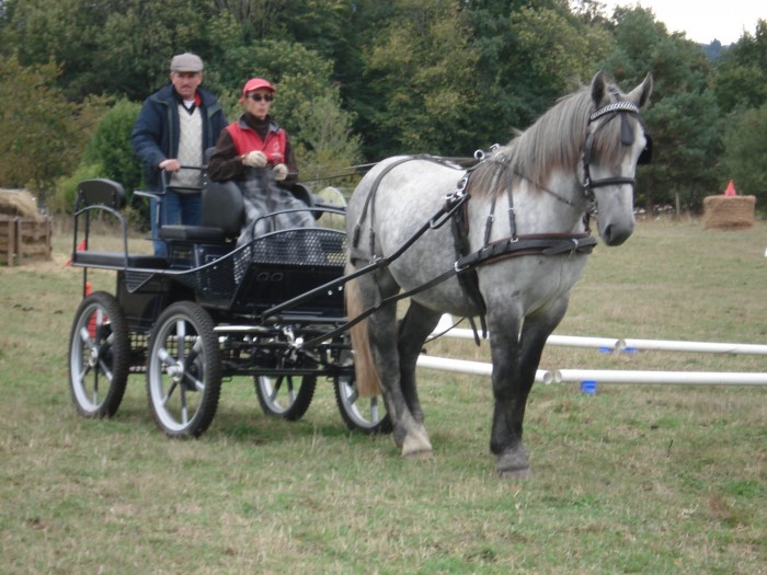 Moi et Uvan des fonts