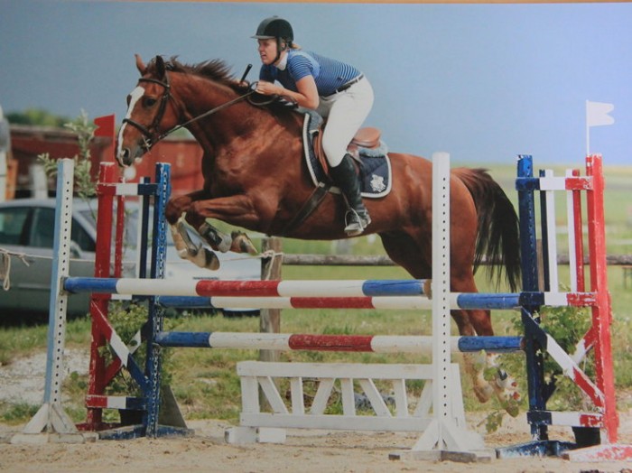 Concours CSO le 6 juin 2010 en club 1 