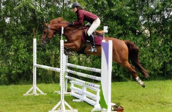 biby =D tu me manques !! super cheval SF :) 