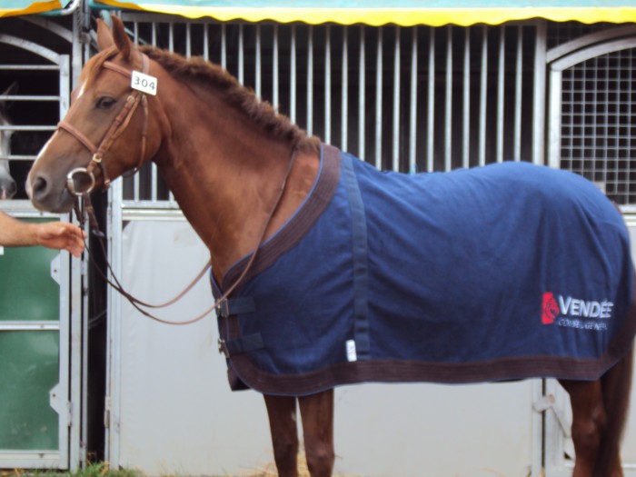 championnat de france cycle classique cso