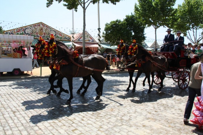 Attelage form� par Generoso, Germanico, Hacendoso,Sanson, Urbano