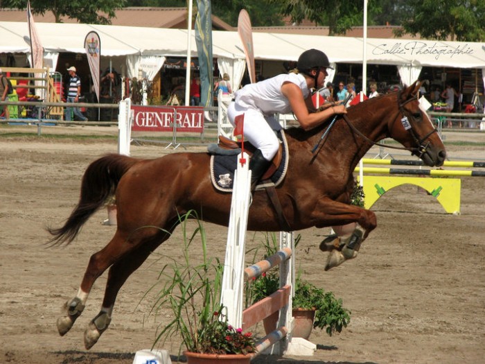 Lamotte Beuvron 2010 avec Pac du Soue en club 2 cadet 2 Premium. Classement : 58eme / 96