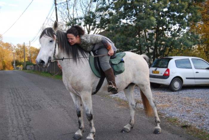 a dada sur mon cheval