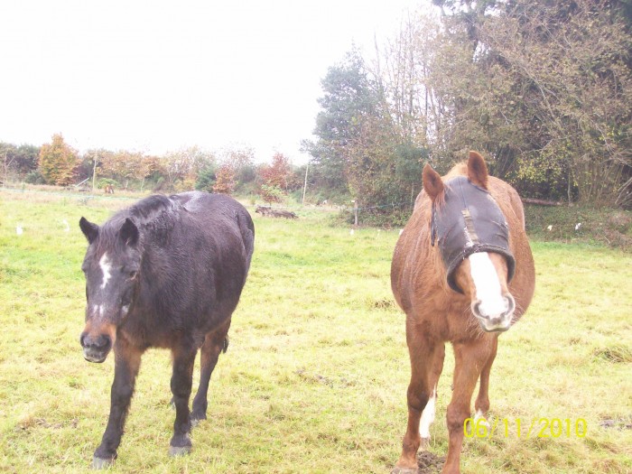 Maman et sa fille