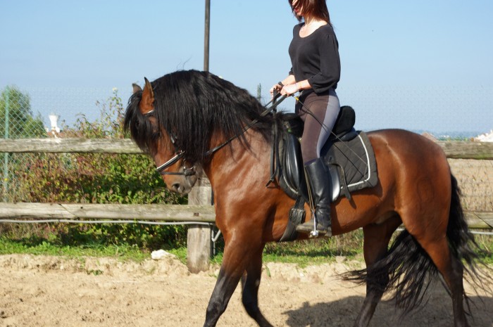 trop beau !!