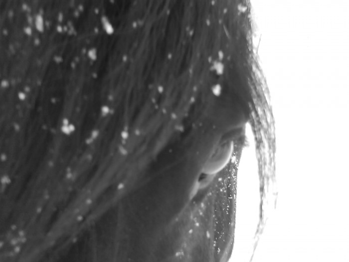 Sous la neige.. 