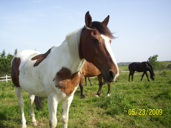Kooala ! Trop biien en CSO <3
