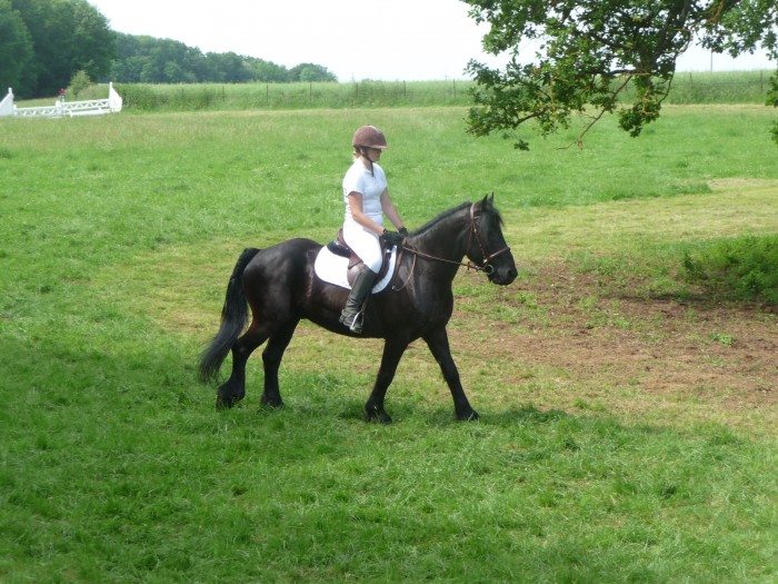 petite dtente avant l'dressage.. 