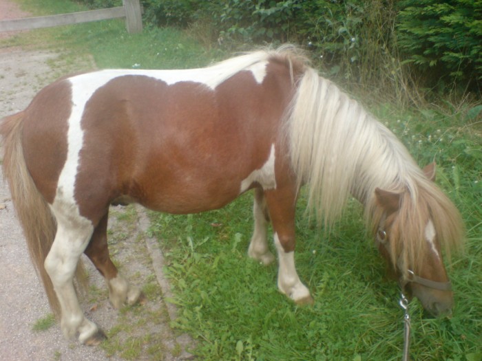Calypso <3