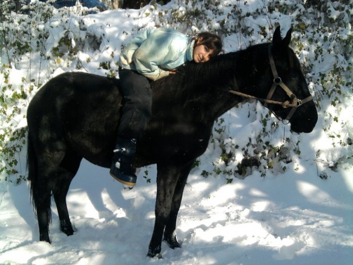 Utopie femelle Trotteur Franais pp 2 ans 2/1.