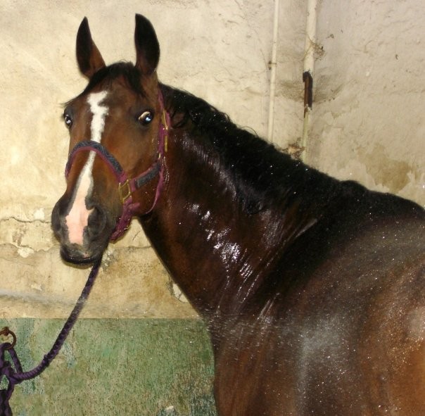 Mon Amour prend sa douche