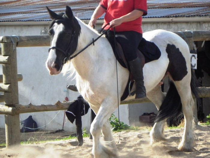 Mise en selle avec Aurlie