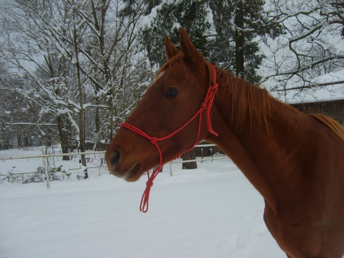 ma pptte dans la neige <3