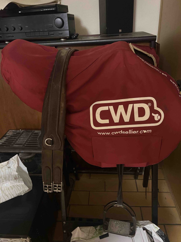 � vendre selle CWD 17,5 tr�s bon �tat.

La selle est vendue avec : 
   - sangle classique T135
   - �trivi�res doubl�es nylon T135
   - �triers jin stirrup
  - housse CWD CSO taille M
  - facture d?achat 

La selle a �t� r�guli�rement entretenue avec des 