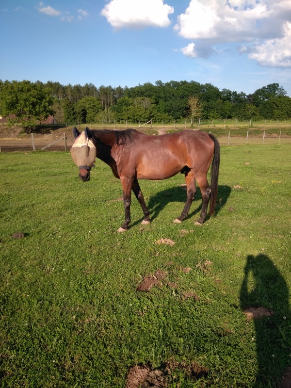 �t� 2018 retraite