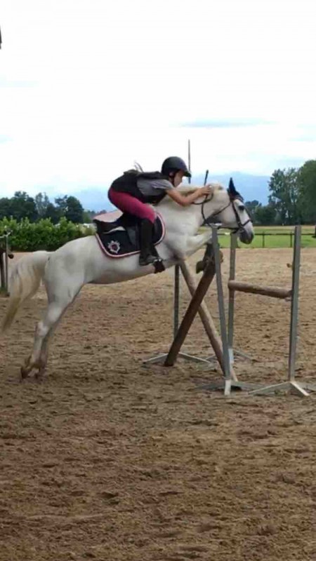 Je m\'appelle Agathe j\'ai 13ans et j\'ai mon galop5 je sors en cso club2 mais je vais commencer les club1 mais pour l\'instant je ne peux pas pusique je n\'est pas un cheval pour aller plus hait .
je recherche un cheval a louer qui serai placer dans mon 