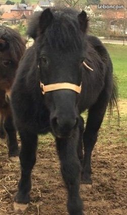 mon ptit papie deja 30 ans  ta copine a besoin de soin mais je nest pas les moyens si seulement les gens pourraos etre cl�ment  nous aider en me versant des fonds a ladresse qu\'il  me demanderais seulement il ny aura rien de tout sa ?? elle na que quelqu