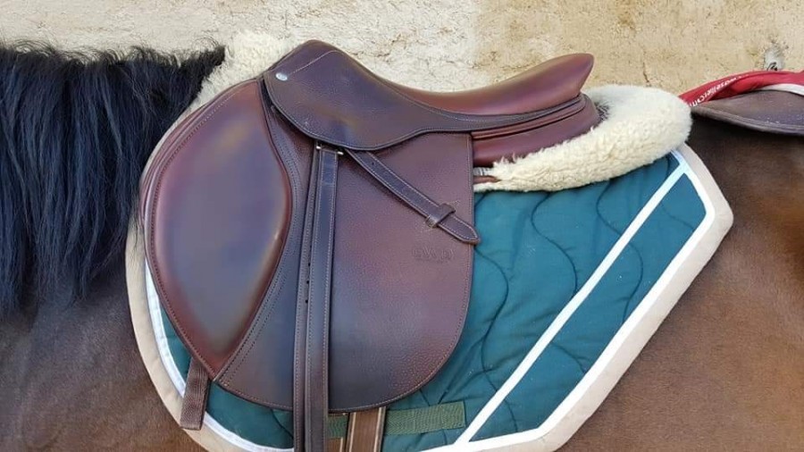 Bonjour 

Je vend ma selle CWD 17\' 
mod�le SE03 17 CC 2L 
selle id�al pour cheval standard.

Ann�e fin 2015. Selle d\'essai jusqu\'� mon achat d�but 2017. Selle tr�s peu utilis�e depuis car doublon avec une selle de dressage.
Selle en parfait �tat. Aucun
