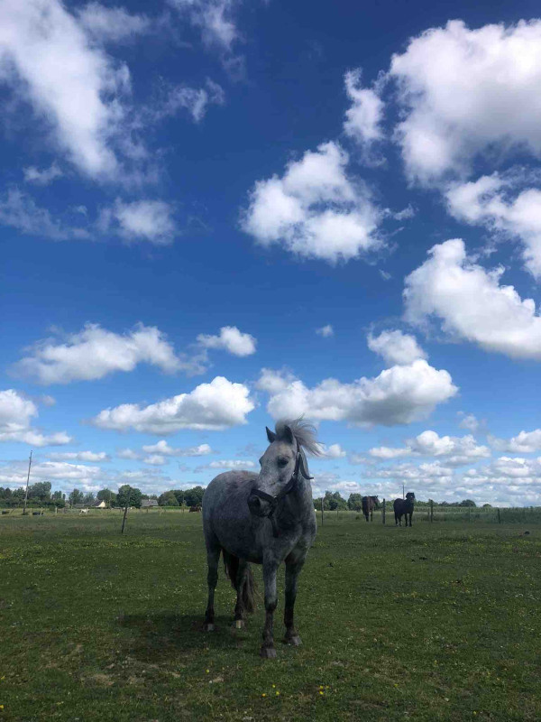 Mon ptit ange dans les nuages , miss you 