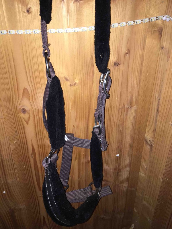 licol fouganza a vendre 23? acheter de occasion a 30? +la longe en bonne etat (bon etat:licol+longe 