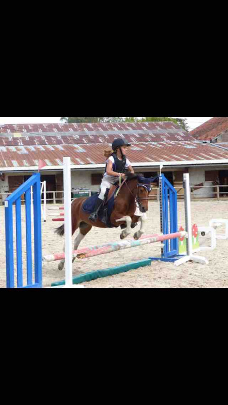 Apple me manque tellement en ce moment !!!
Petit souvenir du Galop 4 