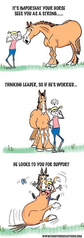 Il est important que votre cheval vous peroive comme un solide leader, comme a s'il est inquiet,..