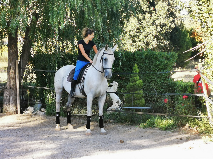 Recherche cheval loisir / amateur grand modele