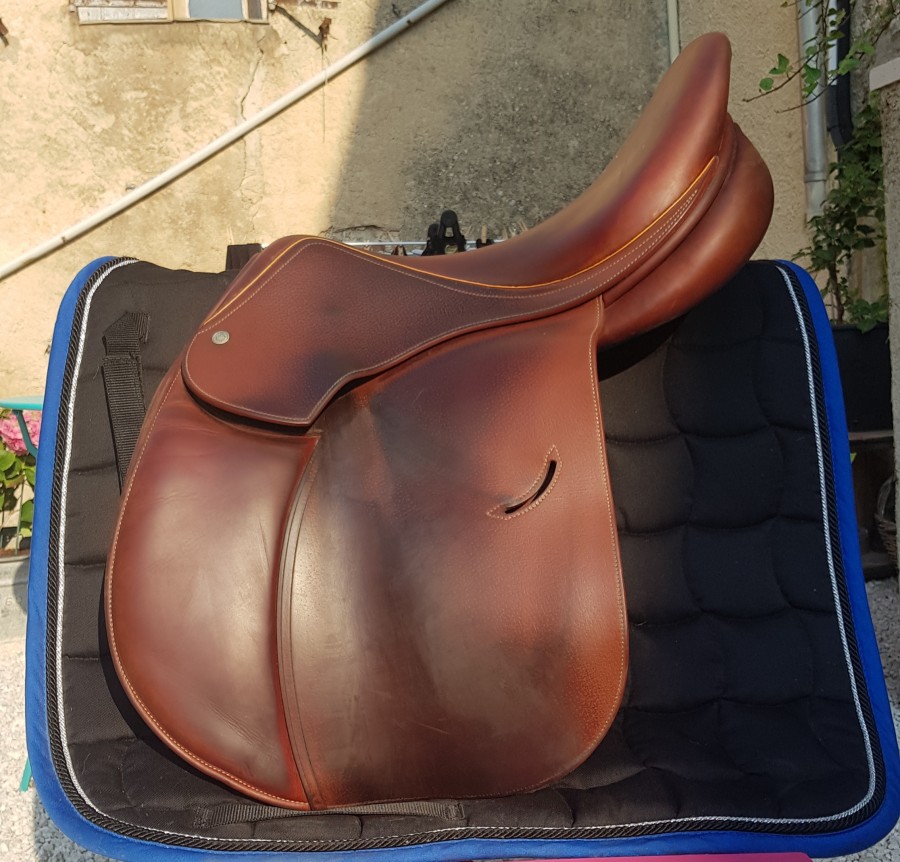 selle mixte childeric 

je vend Selle mixte Childeric 17\