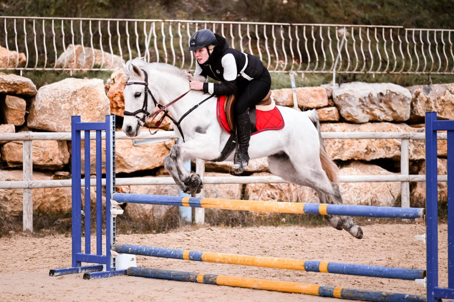 Petite ponette � vendre pour se faire plaisir � l\'obstacle si vous voulez plus d\'info 0782941014 ?