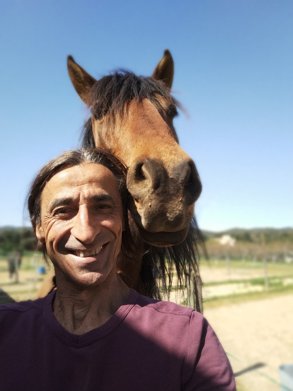 Mon cheval Alto