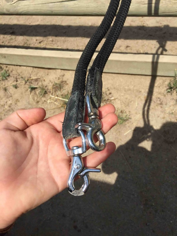 � vendre renne �thologique noir 
Prix: 10 euros