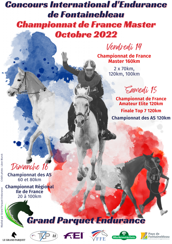 Les championnats équestres à Fontainebleau
