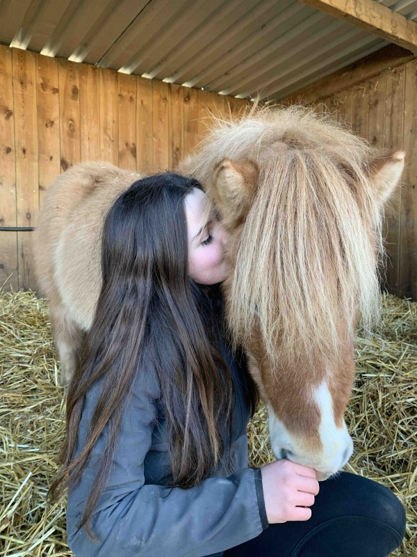 Meme en �tant en cap palefrenier-soigneur on monte a cheval chez nos employeurs et on cr�e des relations incroyables avec eux et meme si on ne les montent pas a cause de leurs petites taille...