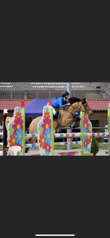


A VENDRE OU A LOUER!!

unbeau jour du verger, 13ans, poney �talon de taille D, fran�ais de selle
par kantje?s ronaldo et espana roze
poney avec une bonne carri�re de cso
unbeau jour a tourn� jusqu?en as poney 2 
c?est 2derni�res ann�es il  tournait en 