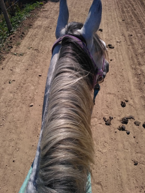 Le bonheur d'avoir une piste de course !