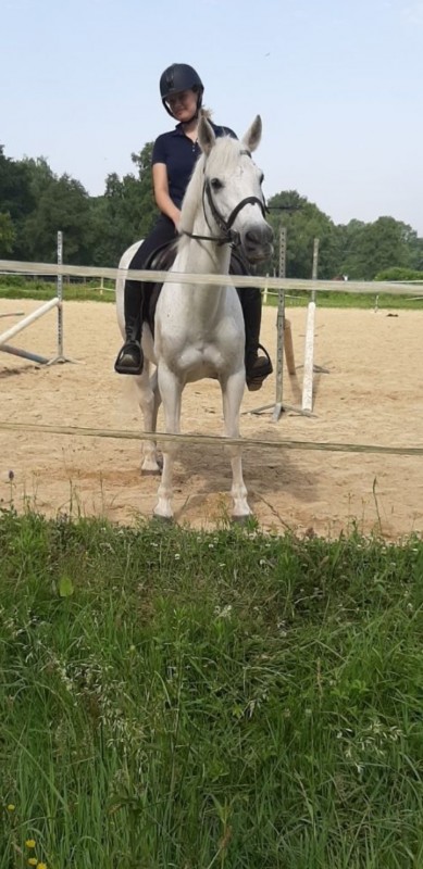 Bonjour, je m\'appelle Charlotte j\'ai 16 ans j\'habite dans le Sud de la France (Lons 64140 pres de Pau) je possede mon galop 4 cela fait maintenant 13 ans que je pratique l\'equitation je voudrais m\'occuper de chevaux pour aider les personne n\'ayant p