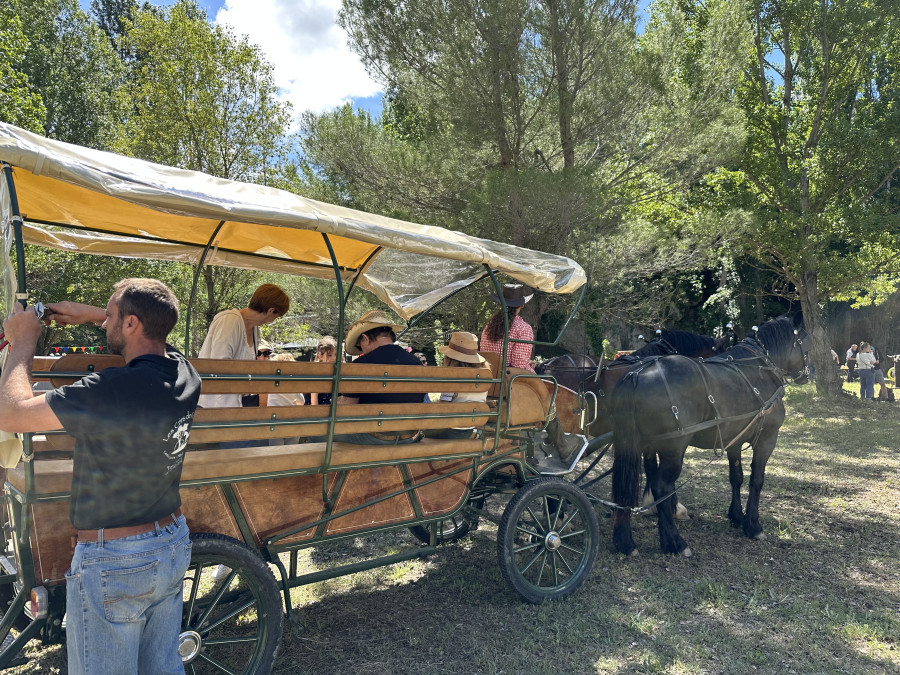 ? Nous recherchons une personne pour juillet et ao�t ?
En �change d?un logement (� c�t� de la mer) et des repas, il faudra aider � la pr�paration de 2 chevaux pour un attelage et groomer la journ�e. En pr�sence d?une personne dipl�m�e. 
?Lieu : Roquebrune