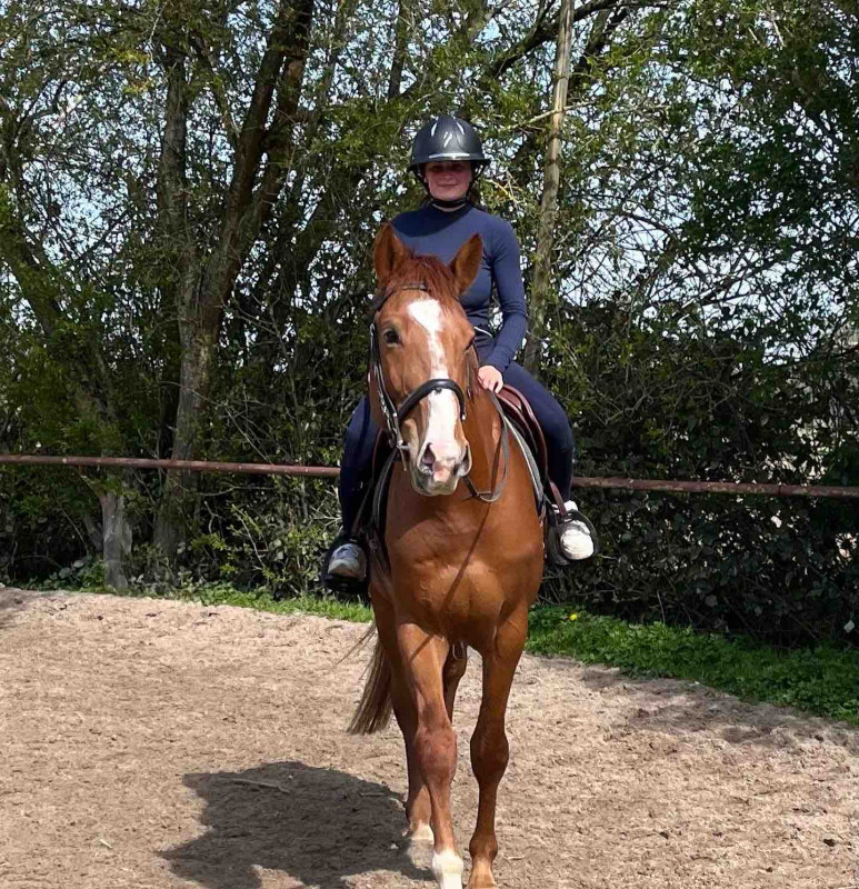 Je propose mon �talon � la saillie. 

4 ans
SF
Alezan 
1m70
Tr�s gentil, calme
Vient d?�tre d�bourrer, tr�s froid dans sa t�te 
Monter par une fille de 17 ans, manipuler par des enfants 
Papier de poulain OC 
Il a une tache blanche en dessous du ventre po