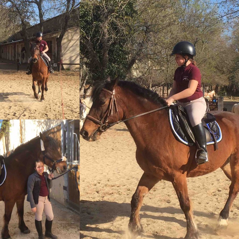 Tonerre un cheval tres vif sinon seance saut 