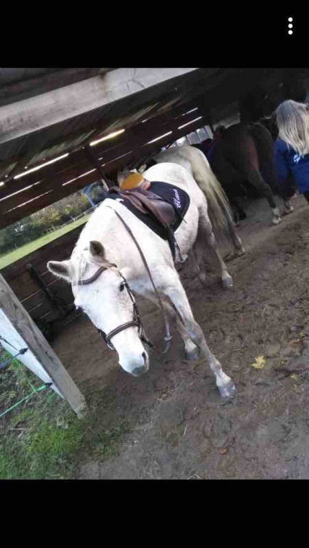 Voici Quinette