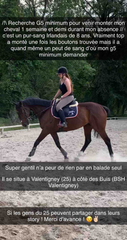 /!\\ recherche g5 minimum pour venir monter mon cheval 1semainz et demi dirant mon absence. Cest un pursang irlandais de  8 ans?, vraiment bien au travail une fois les boutons trouver mais il a quand meme un peut de sang, d\'ou mon g?5 minimum demander. S