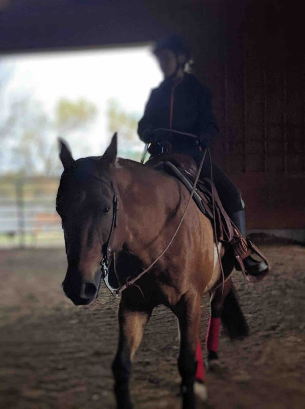 Vous pouvez maider? Jai 15 ans et sa fait 7  ans que je fait du classique et jaimerais apprendre le westurn aussi en faisant des cours et continuer mes cours classique en meme temps a la meme ecurie mais je sais pas quelle ecurie fait ca proche de mirabel