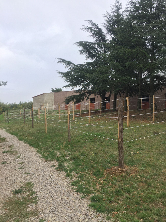 Nos box avec terrasse arrire 