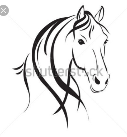bonjour ,je cherche un cheval le sexe m\'inporte peu tout se qui conte c\'est quand sois proche pour le prix pas plus de 1100? si vous avez une selle qui lui appartient nous pouvons aussi l\'acheter ect... contacter moi si vous en avez pour parler merci!?