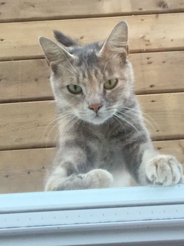 Coucou !!!