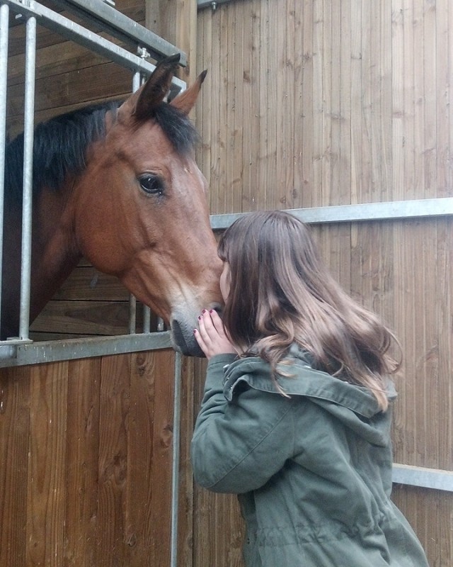 les chevaux sont une source d\'amour et de tendresse mais aussi des d�fis et des aventures � parcourir???