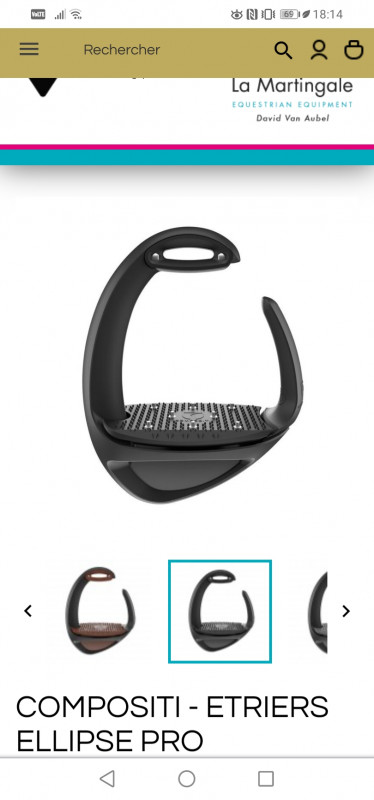 Bonjour est ce que qqn vend des �triers elipse 